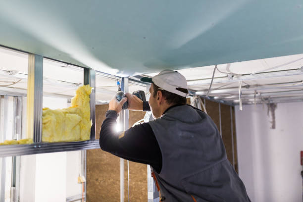 Best Blown-in Insulation in Buena, NJ