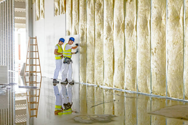 Types of Insulation We Offer in Buena, NJ